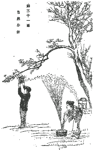 自然分封
