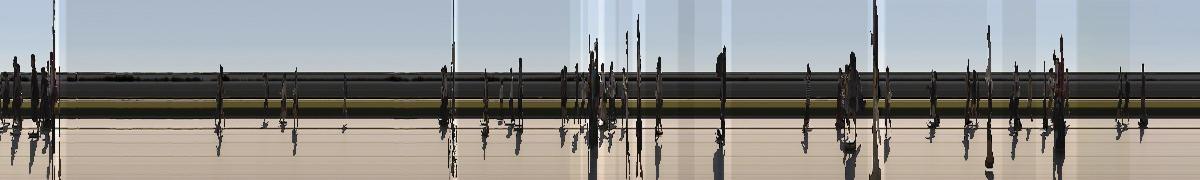 スリットカメラで人の流れを撮影