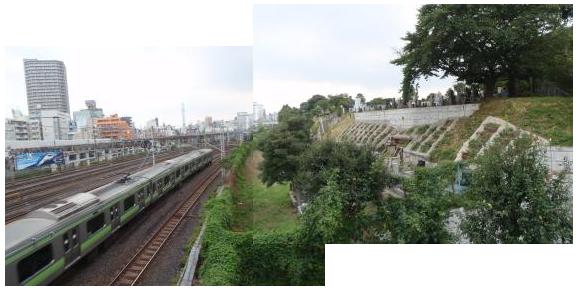 上野の山の縁