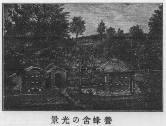 養蜂舎の光景