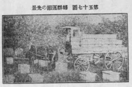 100年前の移動養蜂