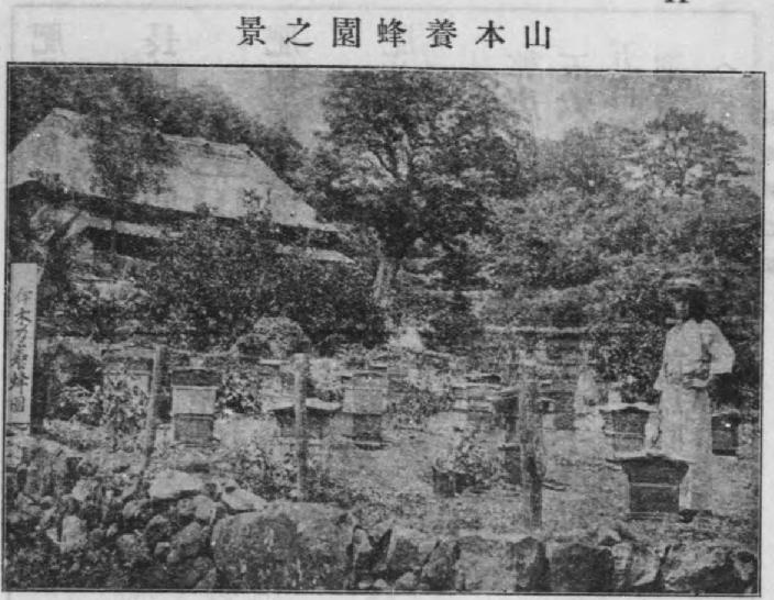 山本養蜂園