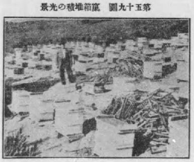 巣箱堆積の光景