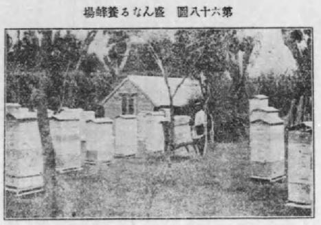 盛んなる養蜂場