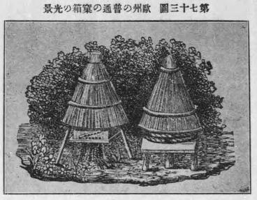 欧州の普通の巣箱