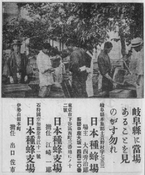 日本種蜂場