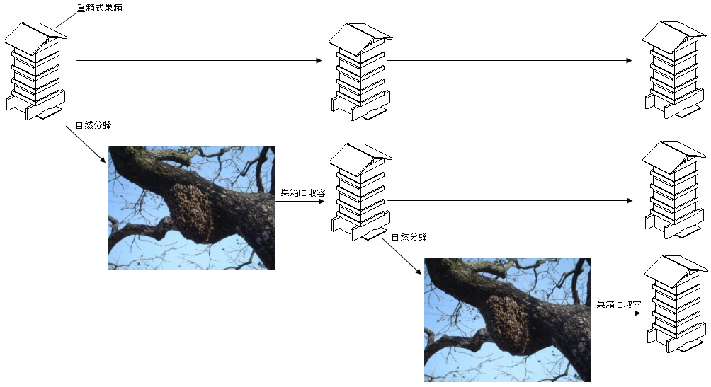 重箱式巣箱増群図