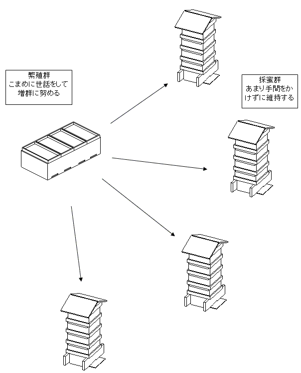 忙しい人向け日本ミツバチ飼育概念図