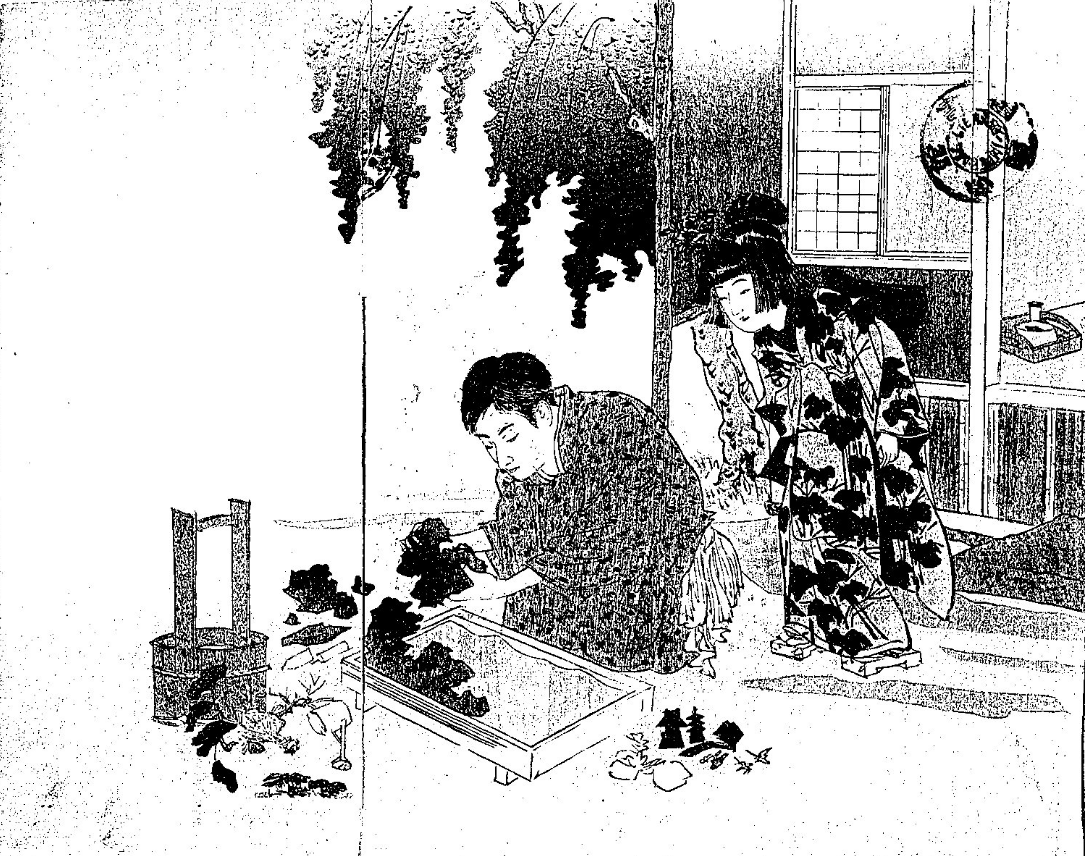 盆景を制作中のおじさん