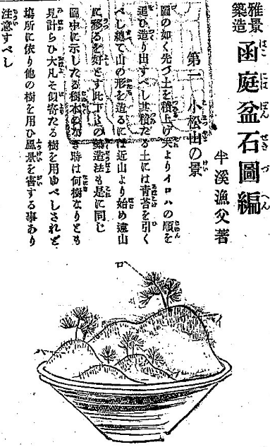 盆景