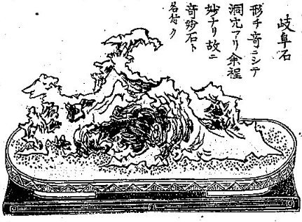 盆景