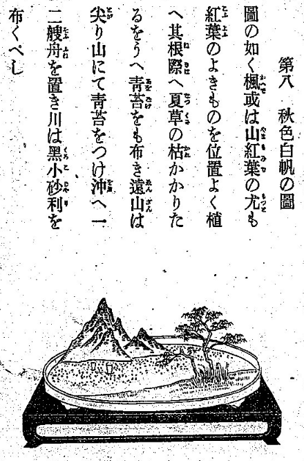 盆景
