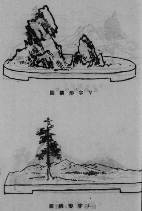 盆景の構図