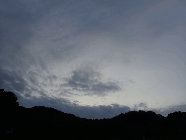 薄明動画