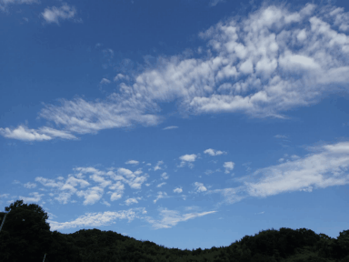 夏の空