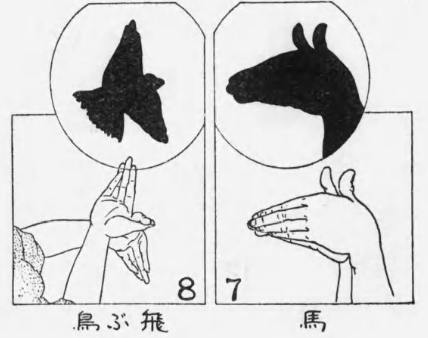 馬飛ぶ鳥