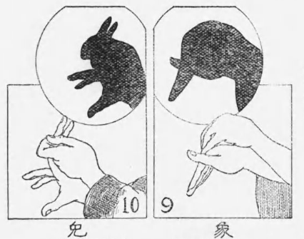 ウサギ象