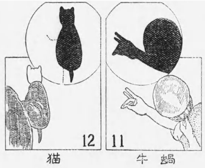 猫蝸牛