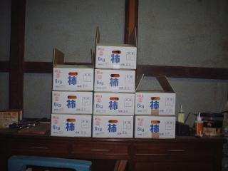 収穫した柿