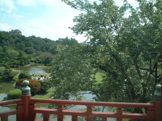 小石川植物園