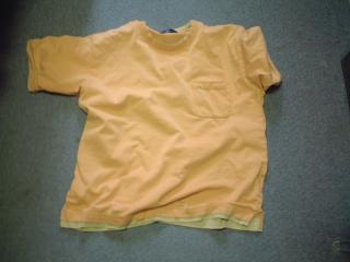 Tシャツ
