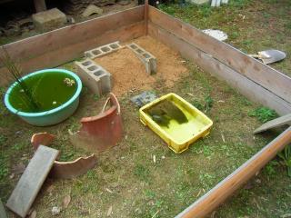 カメさんの箱庭