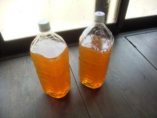 採蜜した蜂蜜