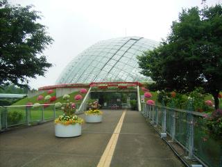 とっとり花回廊