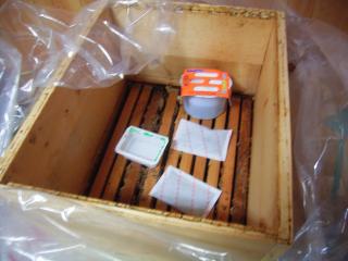 巣板の保存