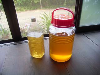 自家製ハチミツ