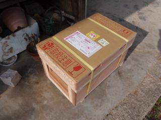 宅配便でミツバチが届く