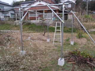 組み立て中の葡萄棚