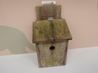 ヒメネズミの巣箱