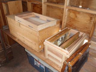 洋箱の日本ミツバチ