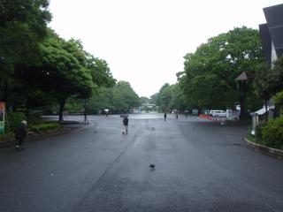 五月の上野公園