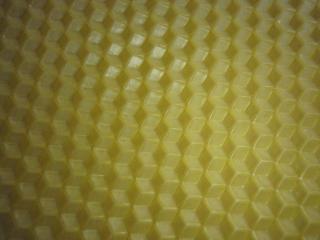 巣楚の拡大写真