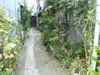上野の路地裏