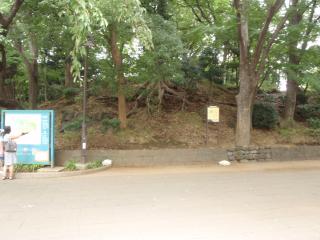 上野の山最高地点