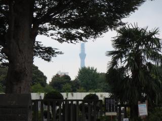 東京スカイツリー