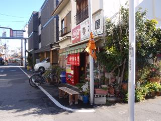 千駄木の朝