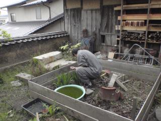 カメさんの箱庭
