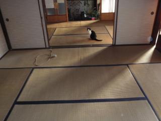 畳替え前の座敷