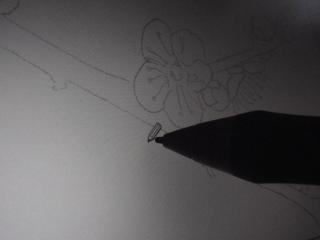 液晶タブレットで絵を描く