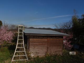 屋根を塗り終えた蜂舎