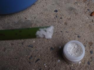 発根促進剤をさし木につける