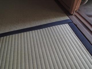 畳にカビが生える