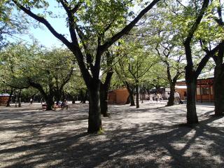 神社内