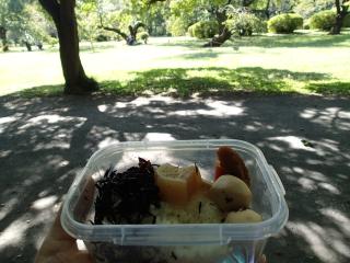 園内の弁当