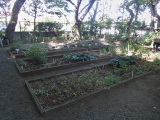 牧野記念庭園