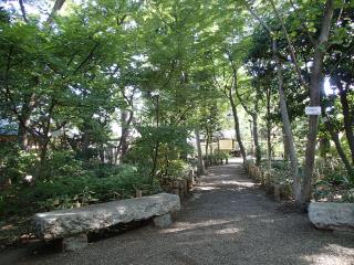 牧野記念庭園